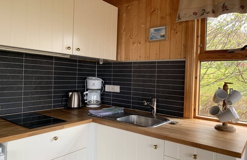 Storidalur Cabin | Ásólfsskáli Cottage