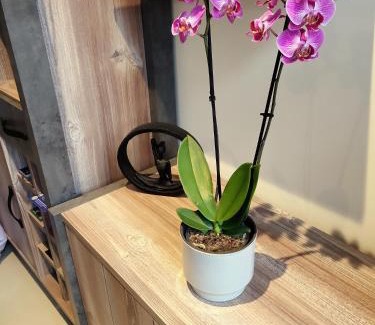 Arenas de Cabrales Apartment | Ático el Cuetón