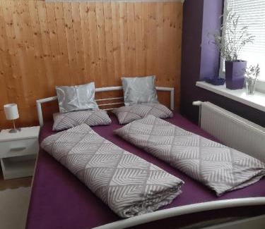 Veseli nad Moravou Apartment | Útulný apartmán