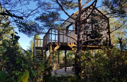 Muhu House | Üügumetsa treehouse