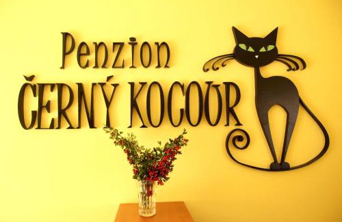 Sarovy Apartment | Černý Kocour Apart hotel