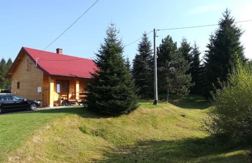 Myczkow Cabin | Łabudówka