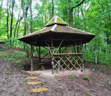 Kismaros House | Őzike-Lak a Börzsönyben