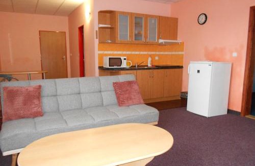 Usti nad Labem Apartment | Šenk u Švejka