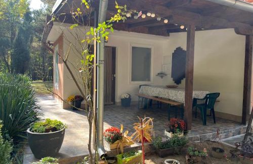 Banatski Karlovac House | Šumska kuća Juga Kovačević