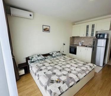 Riscani Apartment | Апартаменты