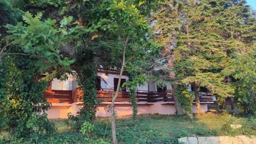 Shkorpilovtsi Other | Бунгала Виктори Victory Bungalows