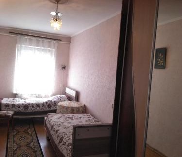 Truskavets Apartment | Вишня,двокімнатна квартира