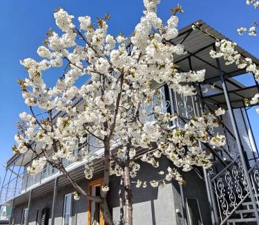 Issyk-Kul Region House | Домик Светланы Ильиничны
