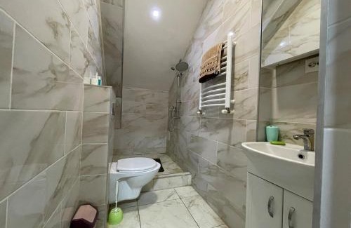 Codru Apartment | Квартира в частном доме
