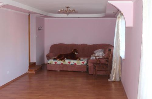 Palyanytsya Cabin | Кімната з диваном