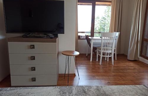Shiligarnika Apartment | Роси Студио Банско