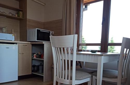 Shiligarnika Apartment | Роси Студио Банско