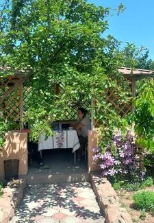 Issyk-Kul Region House | У Эльмиры