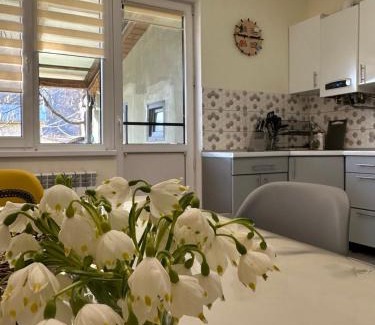 Soymy House | Чотири стихії