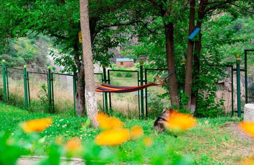 Tatev Hotel | Սոճուտ