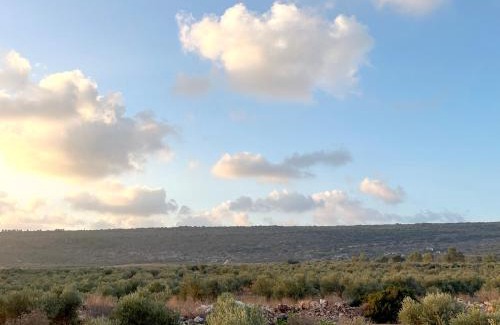 Klil Ski Chalet | מעוף הציפור