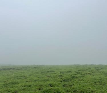 Dhofar Governorate Villa | إستراحة حجيف فيو