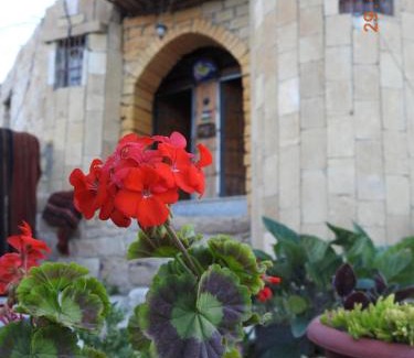 Dana Hotel | بيت جدي