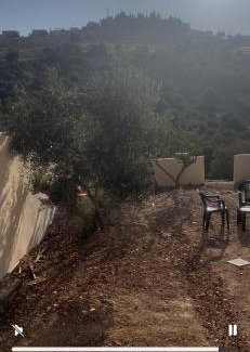 Borma Apartment | ستوديو مفروش ومزرعه