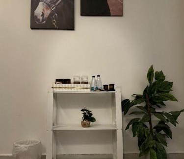 Riyadh Apartment | شقة فاخرة غرفة نوم وصالة