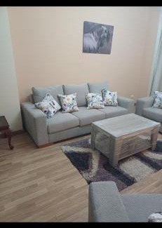 Sheikh Zayed City Apartment | كمبوند ذا ادرس بالشيخ زايد