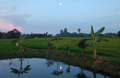 Cha-am House | สุขเสมอ โฮมสเตย์ (Suk-Samer homestay)