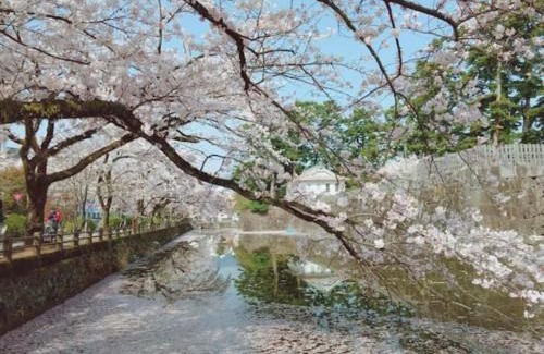 Odawara Apartment | サマサマドゥア saMa-saMa Dua