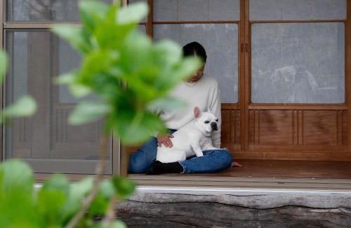 Sakurai House | 宿と馬 miru house