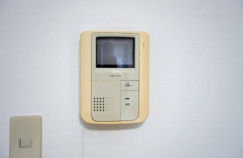 Shinkoiwa Apartment | 新小岩駅徒歩3分デメテル301