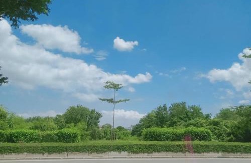 Jinhu House | 金門瑜仙民宿-平價住宿-機車接送-洗衣Wifi-暢遊金門