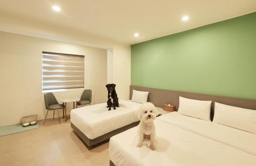 Seolcheon-myeon Hotel | 도글리아호텔 doglia hotel