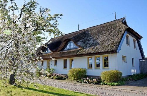 Lancken-Granitz Apartment | 03 Holiday apartment with garden terrace - Holiday apartments in the fishing village and under the