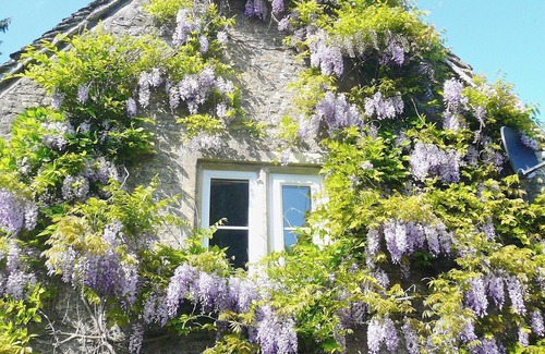 Rendcomb Cottage | 1 bedroom accommodation in Chedworth, near Cheltenham