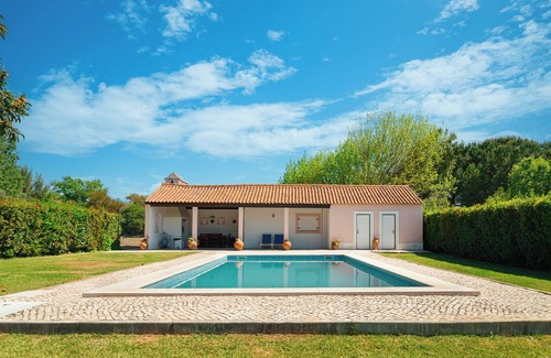 Paialvo Apartment | 1 bedroom Apartment (10 km from Tomar, the Templar City. Pets welcome)