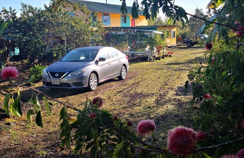 Mountain View Apartment | 1-bedroom apartment just 10 minutes from downtown Mountain View