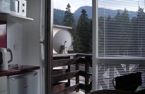 Borovets Apartment | 1 Bedroom top floor apartment mountain views - 100 metres from ski lifts
