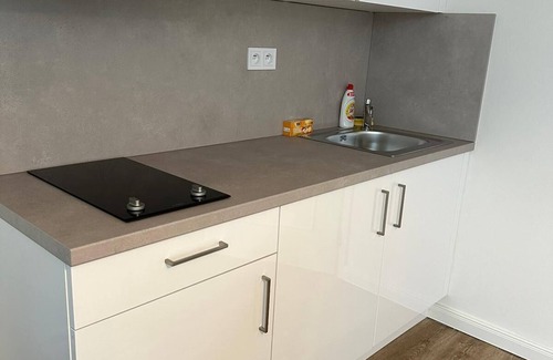 Petrska ctvrt Apartment | 1 Br Apartment at Prague 1