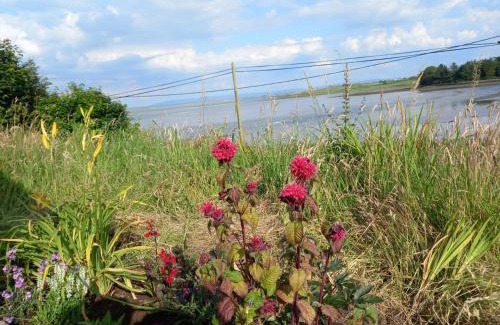 Killala House | 1 Quay Cottages Relaxing 3 bedroom on Sea-Front
