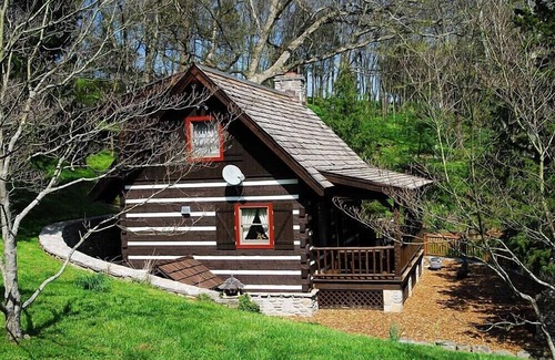 Whites Creek Cabin | 100 Acres-Wildlife Galore! Convenient to Nashville & Opryland