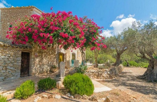 Andraitx Other | 100 m² Accommodation ∙ 2 bedrooms ∙ 4 guests