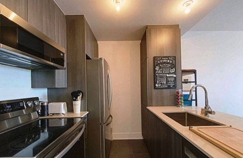 Maisonneuve Apartment | #114 Splendid Unit on 2 Floors, Terrace, Parking