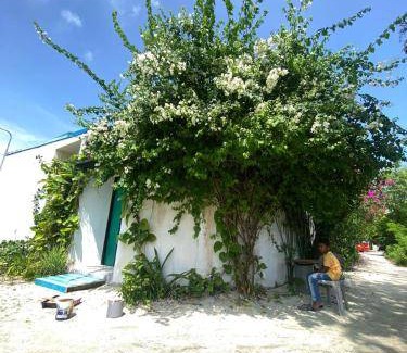 Himmafushi Bed & Breakfast | 13 m² Bed and breakfast ∙ 2 guests