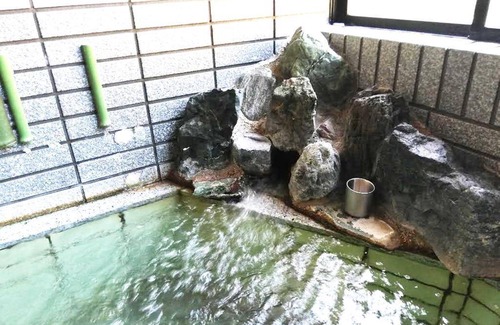 Katashina Hotel | 13 m² Hotel ∙ 3 guests