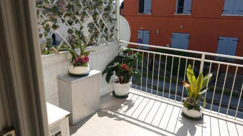 Minerbio Bed & Breakfast | 14 m² Bed and breakfast ∙ 2 guests