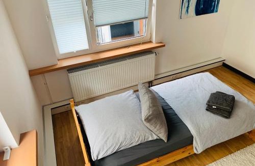 Gross-Umstadt Apartment | 140 qm großes Loft mit 2 eigenen Schlafzimmern im Fabrikstil - direkt in Groß-Umstadt - 300 m bis zum Marktplatz