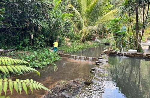 Doi Saket Bed & Breakfast | 144 m² Bed and breakfast ∙ 8 guests