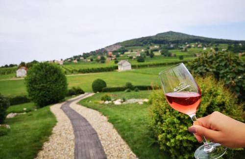 Villany Bed & Breakfast | 15 m² Bed and breakfast ∙ 2 guests