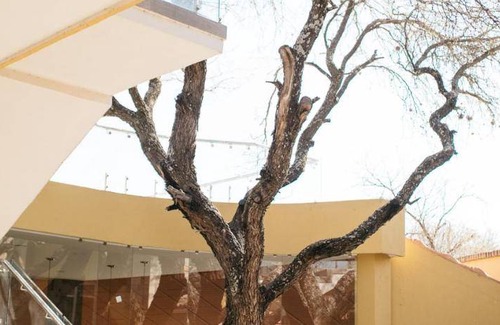 San Juan de los Lagos Resort | 150 m² Resort ∙ 10 guests