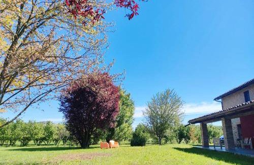 Castagnole delle Lanze Bed & Breakfast | 18 m² Bed and breakfast ∙ 3 guests